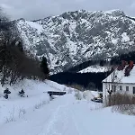 Alpine Rosy * Eisenerz