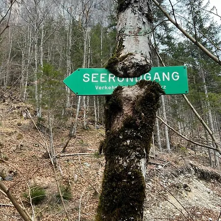 Alpine Rosy Daire Eisenerz