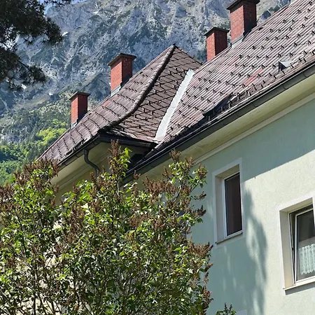 Alpine Rosy *