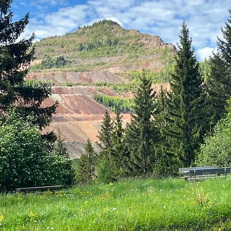 Alpine Rosy Eisenerz