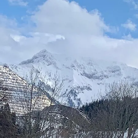 Apartment Alpine Rosy