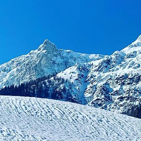 Alpine Rosy Eisenerz