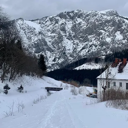 Alpine Rosy * Eisenerz