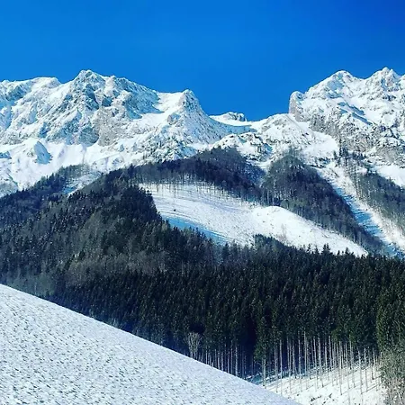 Apartment Alpine Rosy