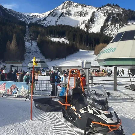 Alpine Rosy Eisenerz