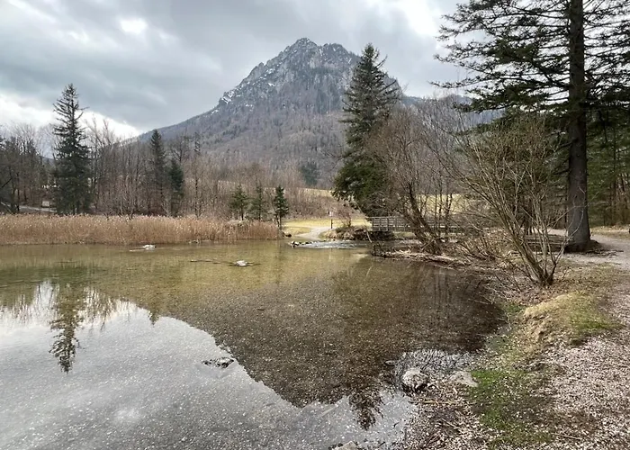 Apartman Alpine Rosy