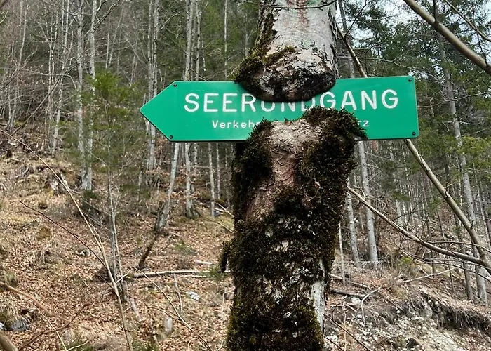 Alpine Rosy Apartman Eisenerz