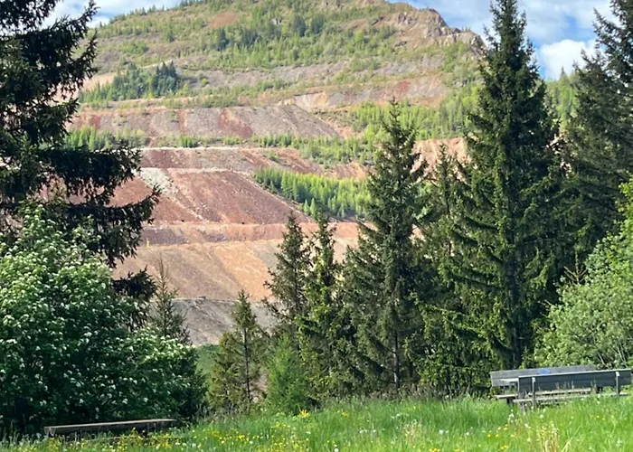 Alpine Rosy Eisenerz