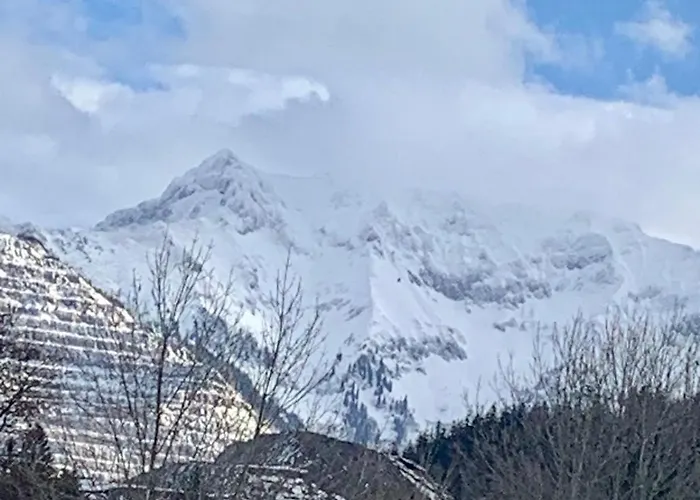 Apartman Alpine Rosy