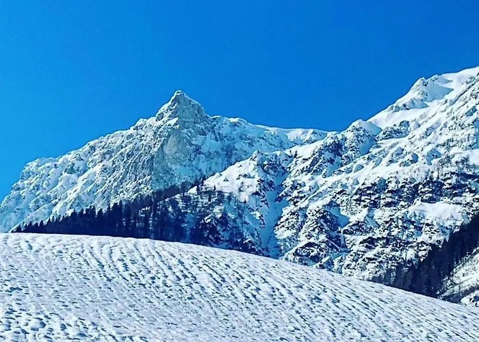 Alpine Rosy Eisenerz