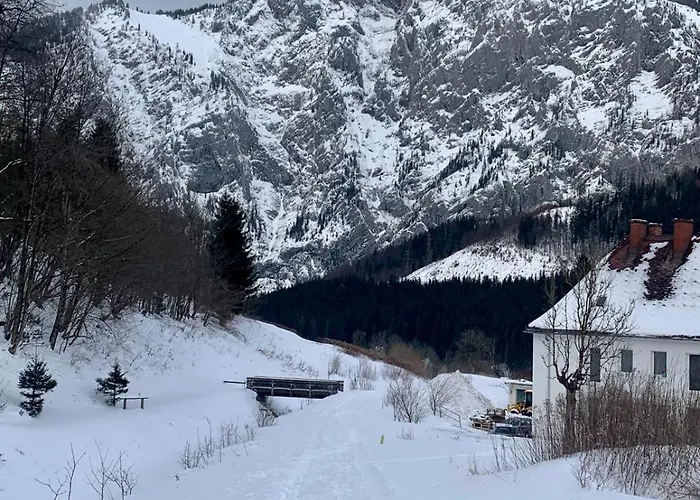 Alpine Rosy * Eisenerz