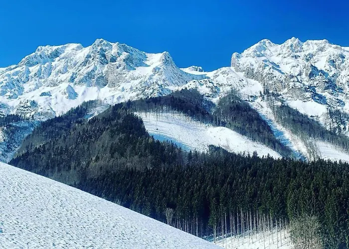 Apartman Alpine Rosy